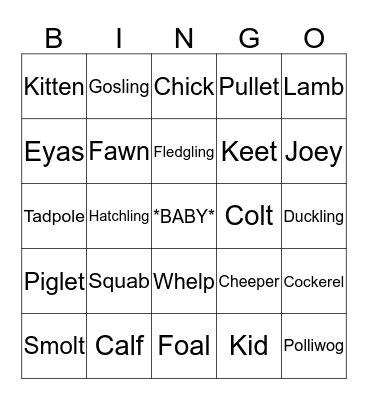 Baby Animal Bingo! Bingo Card