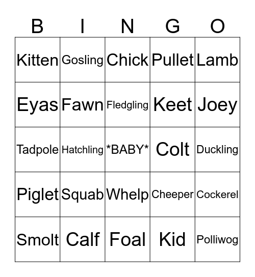 Baby Animal Bingo! Bingo Card