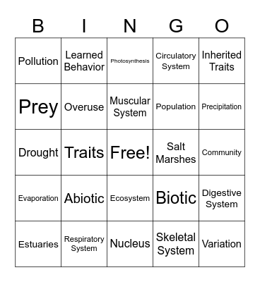 Science Bingo Card