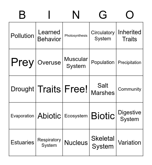 Science Bingo Card