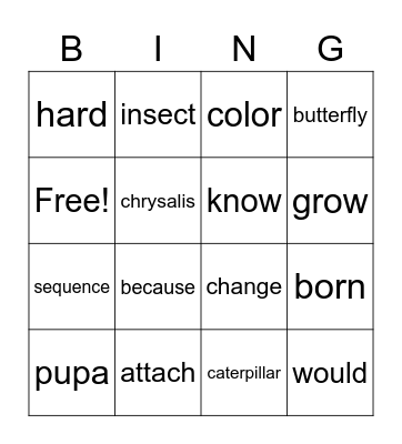 Reach B Unit 4 Part 2 Bingo Card