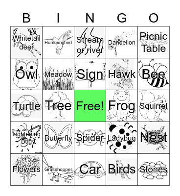 Discover the Park Bingo Card