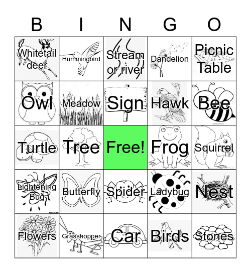 Discover the Park Bingo Card
