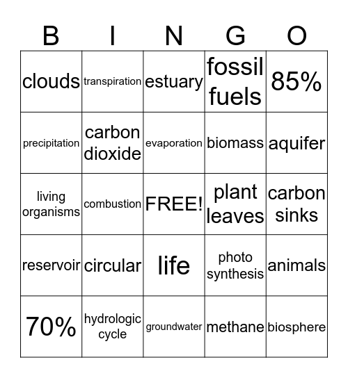 Water and Carbon Cycle Bingo Card
