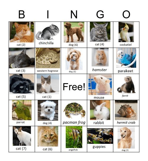 PET-tastic BINGO! Bingo Card