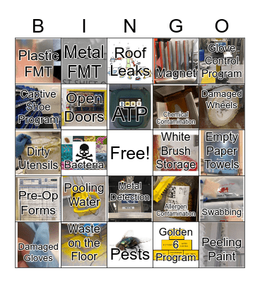 World Food Safety Day Bingo Card