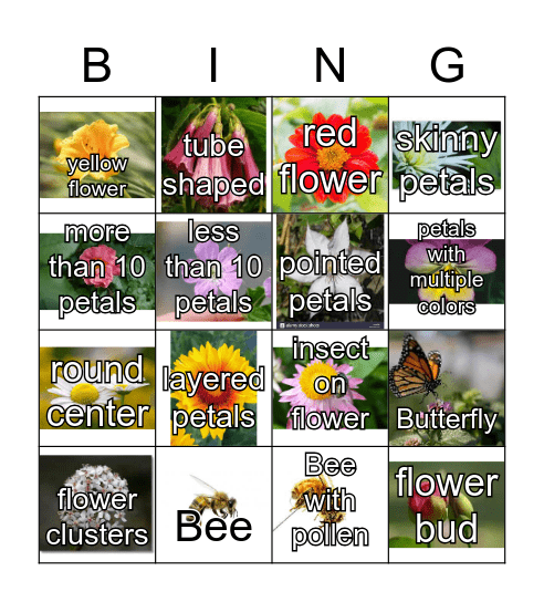 Flower Bingo Card