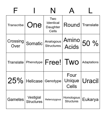 Final Review Bingo Card