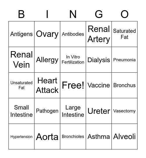 Body Systems Final Review Bingo Card