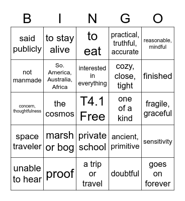 THINKO: T4.1 Units 1-4 Bingo Card
