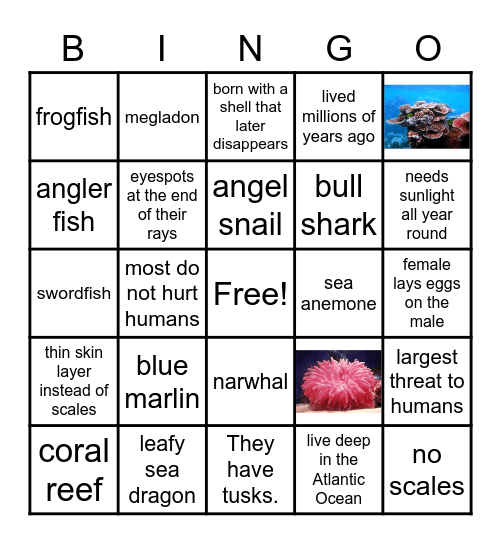 2A Ocean Animals Bingo Card