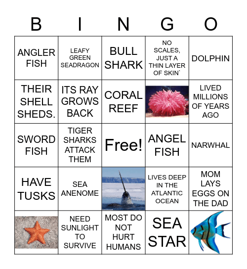 Ocean Life Class 2A Bingo Card