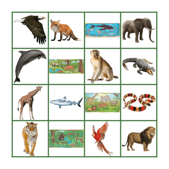 Animals on the move! (Young achievers unit 4) Bingo Card