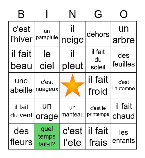 French weather and seasons Bingo Card