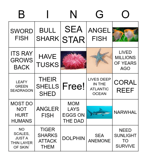 OCEAN LIFE  CLASS 2A Bingo Card