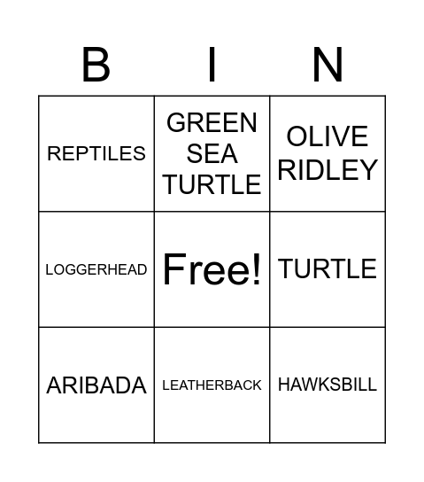 SEA TURTLES Bingo Card