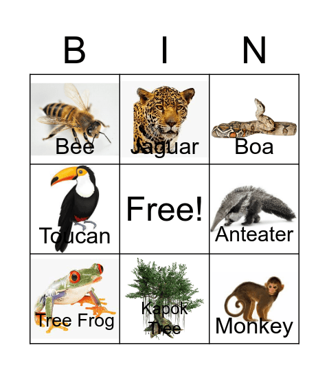 The Great Kapok Tree Bingo Card