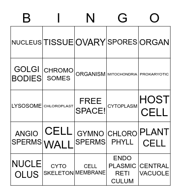 CELLS BINGO Card