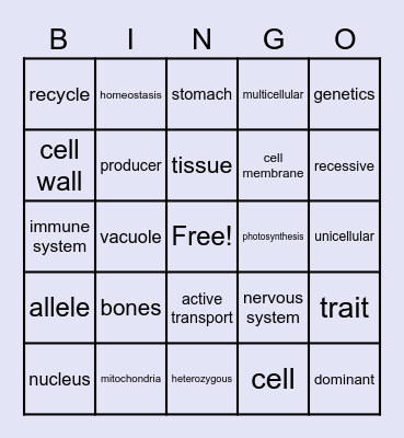 7th Grade Review Bingo Card