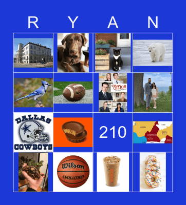 All about Mr. Ryan Bingo Card