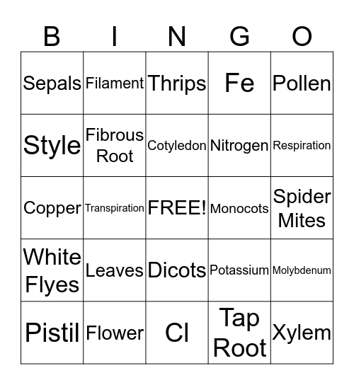 Plant BINGO  Bingo Card