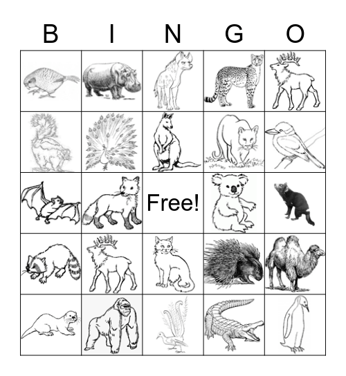 Weird Animal Sound Bingo Card