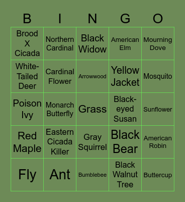 Nature BINGO! Bingo Card