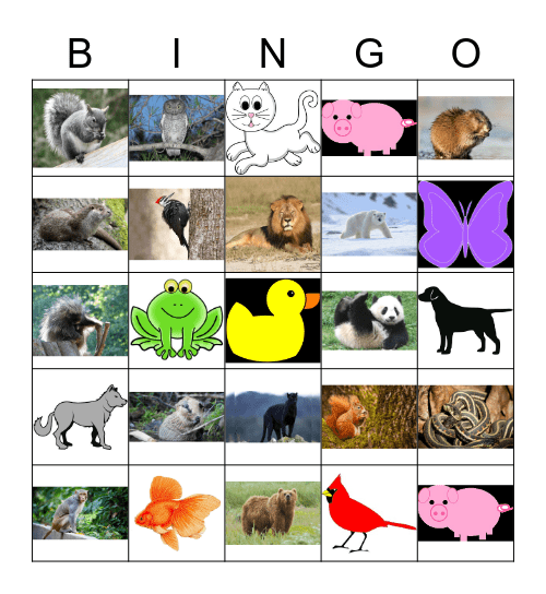 animals Bingo Card