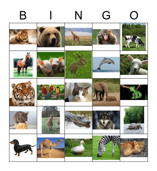 Future Lions Animal Bingo Card