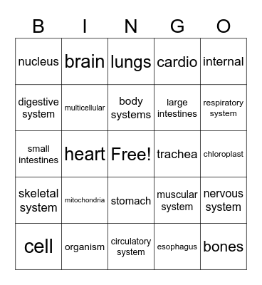 Human Body Bingo Card