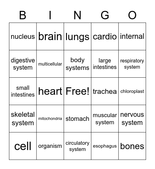 Human Body Bingo Card