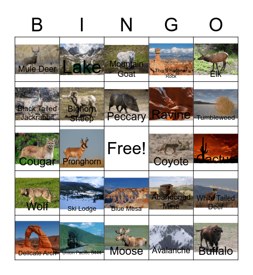Mammals and other Mountain States related stuff Bingo Card