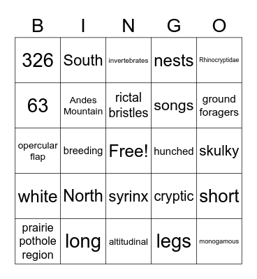 Rhinocryptidae Bingo Card