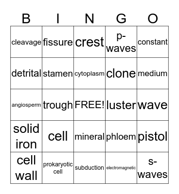 Science BINGO  Bingo Card