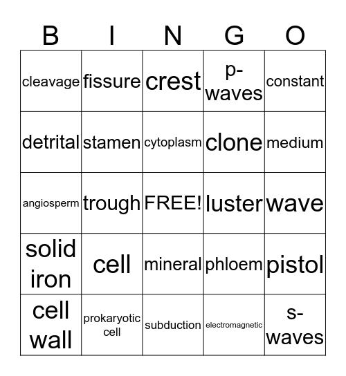 Science BINGO  Bingo Card