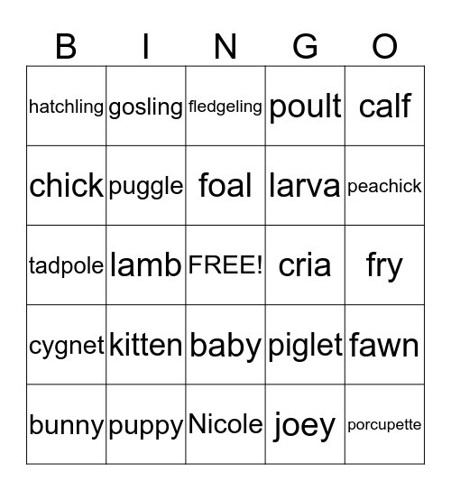 Baby Bingo! Bingo Card