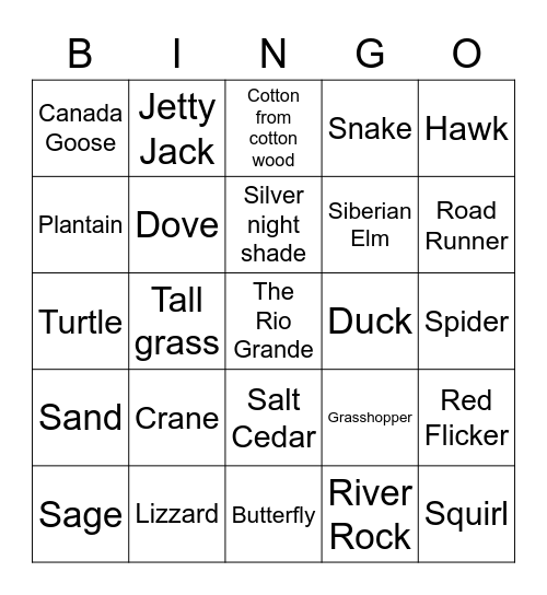 Bosque Bingo Card