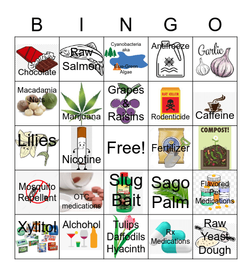 Household Toxins Bingo Card