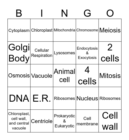 Cells By Michael And Cody Bingo Card
