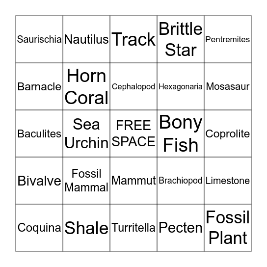 FOSSIL SEARCH Bingo Card