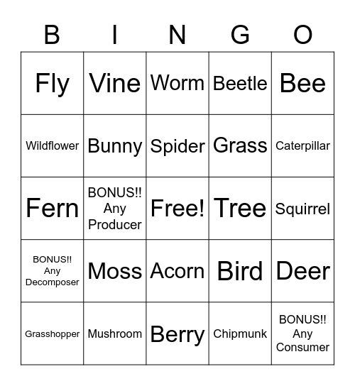 Producers/Consumers/Decomposers Bingo Card