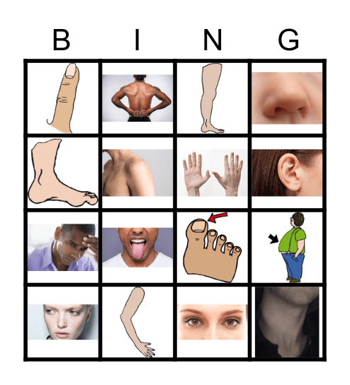 Körperteile - Bingo Card