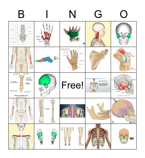 SKELETON BINGO Card