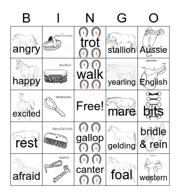 Horse Camp Bingo Card