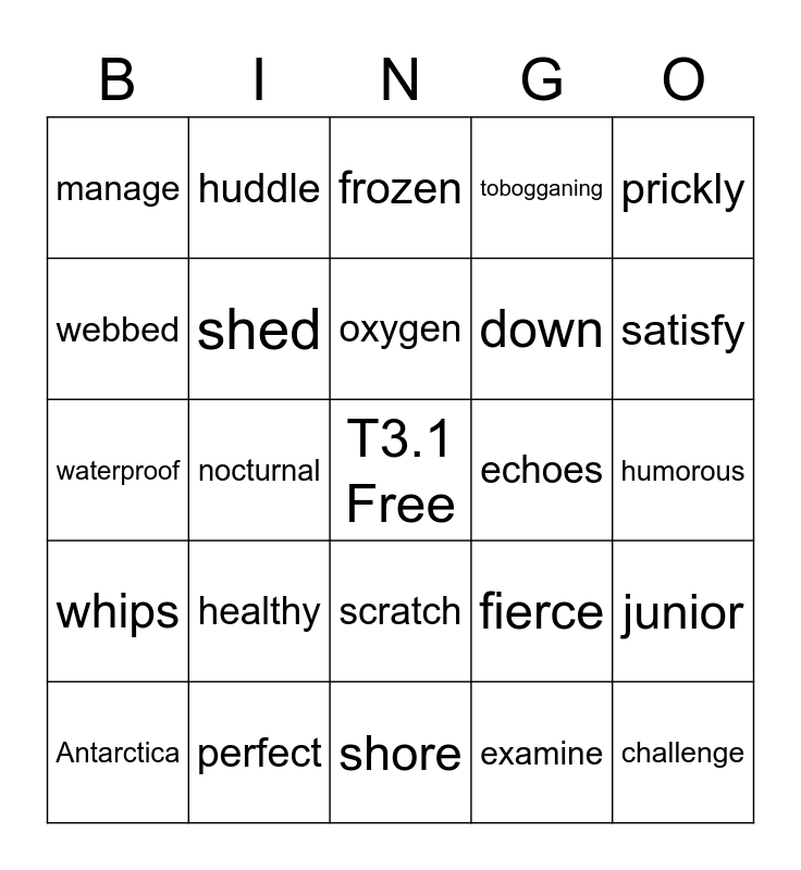 THINKO: T3.1 Vocabulary Units 4-5 Bingo Card
