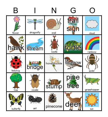 Troop 56055 Nature Hike Bingo Card