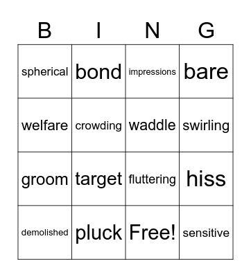 VOCABULARY BINGO Card