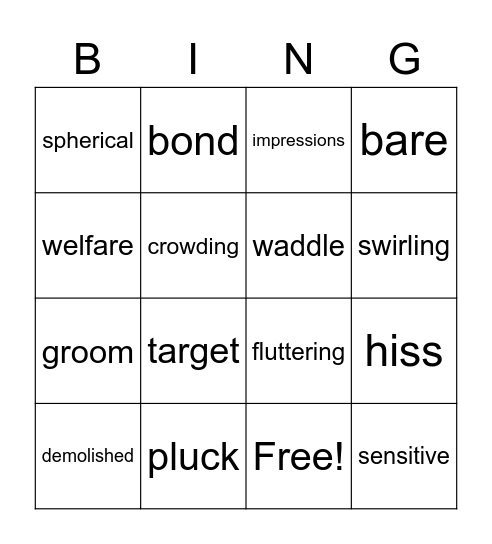 VOCABULARY BINGO Card