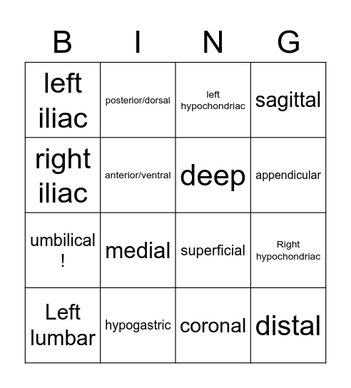 Body regions, planes and med terms Bingo Card