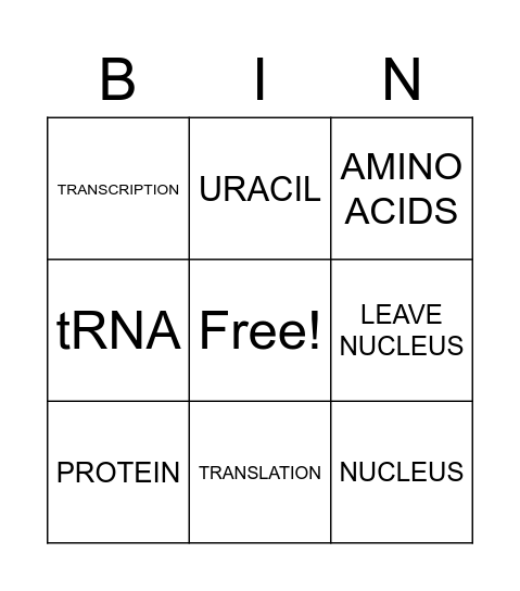 Transcription and Translation Bingo Card